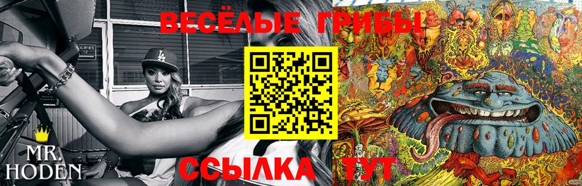 Зерноград  Псилоцибиновые грибы Psilocybine cubensis  Вход с VPN 